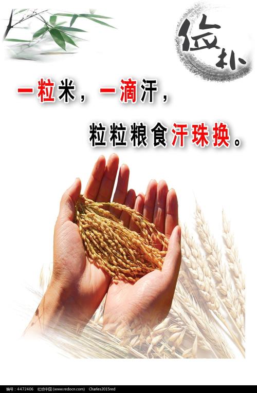 怎么购买台湾护照